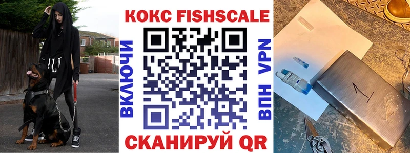 закладки Кинешма Кокаин Fish Scale