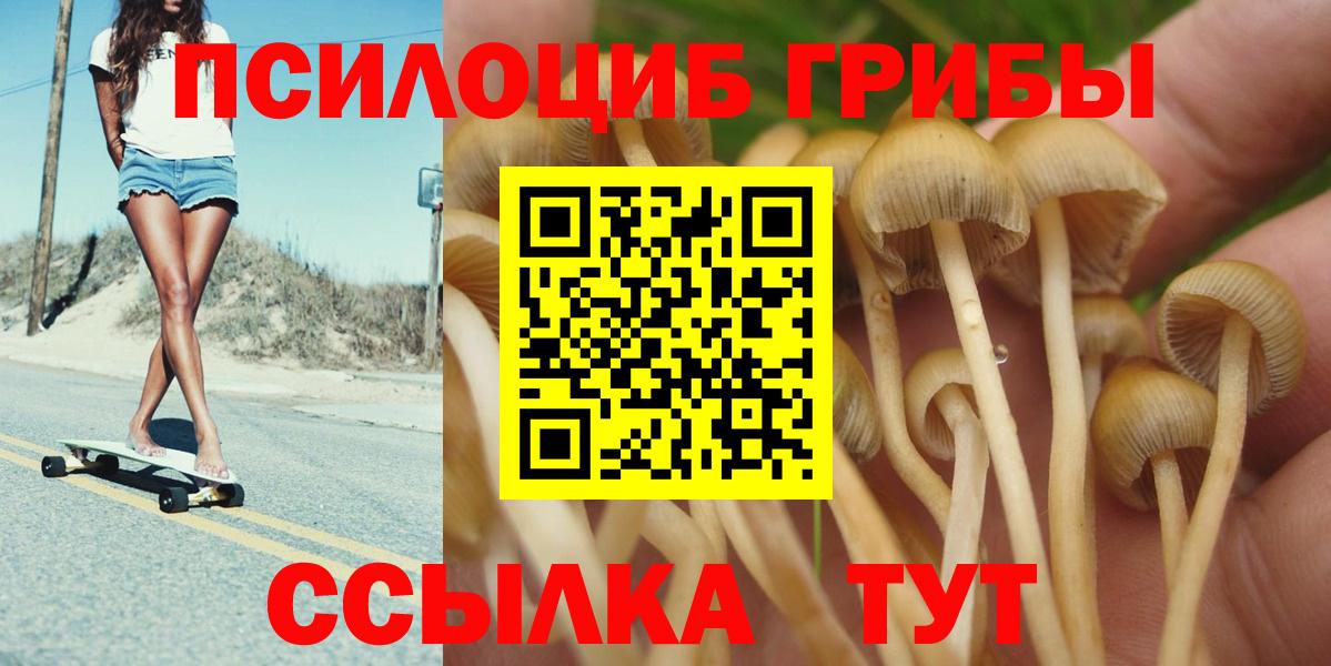 Кинешма  Псилоцибиновые грибы ЛСД  Вход с VPN 