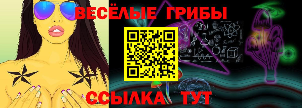 Псилоцибиновые грибы Psilocybe Кинешма