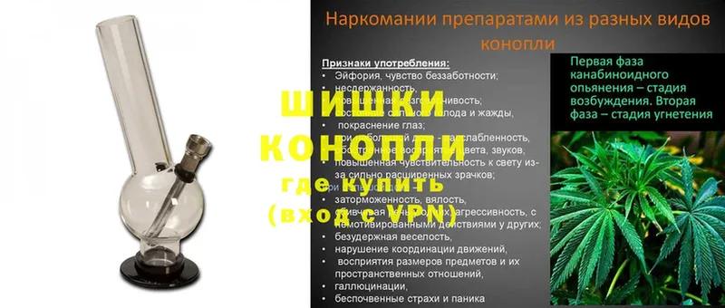 hydra зеркало  Кинешма  Бошки марихуана конопля  как найти наркотики 